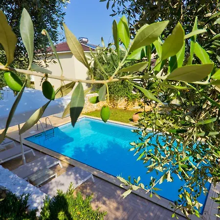 θασιακές βίλλες * Λιμένας